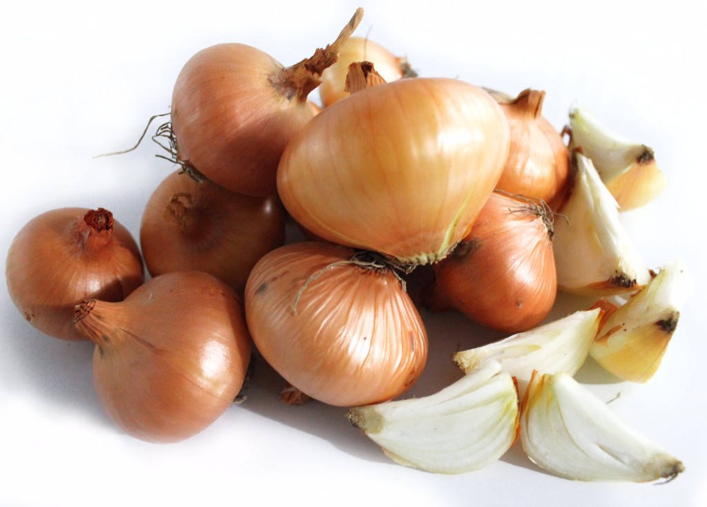 Ceapa de la Tomatina (www.tomatina.ro)