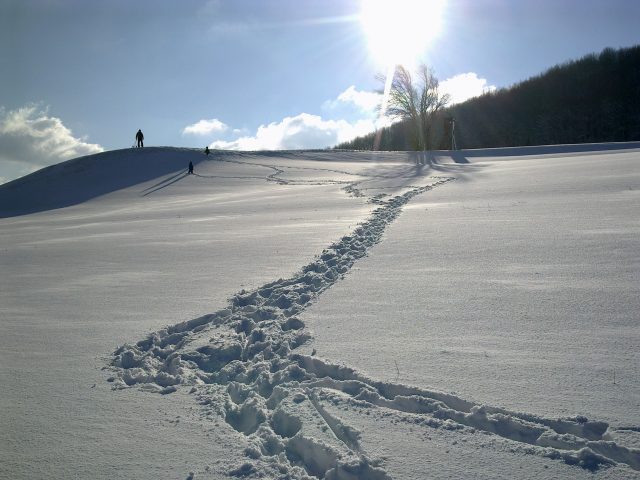 Cei 2P și Călin la săniușul din spatele casei
