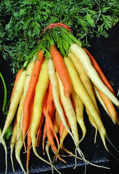 Vârfuri de comprese de morcovi pentru varice