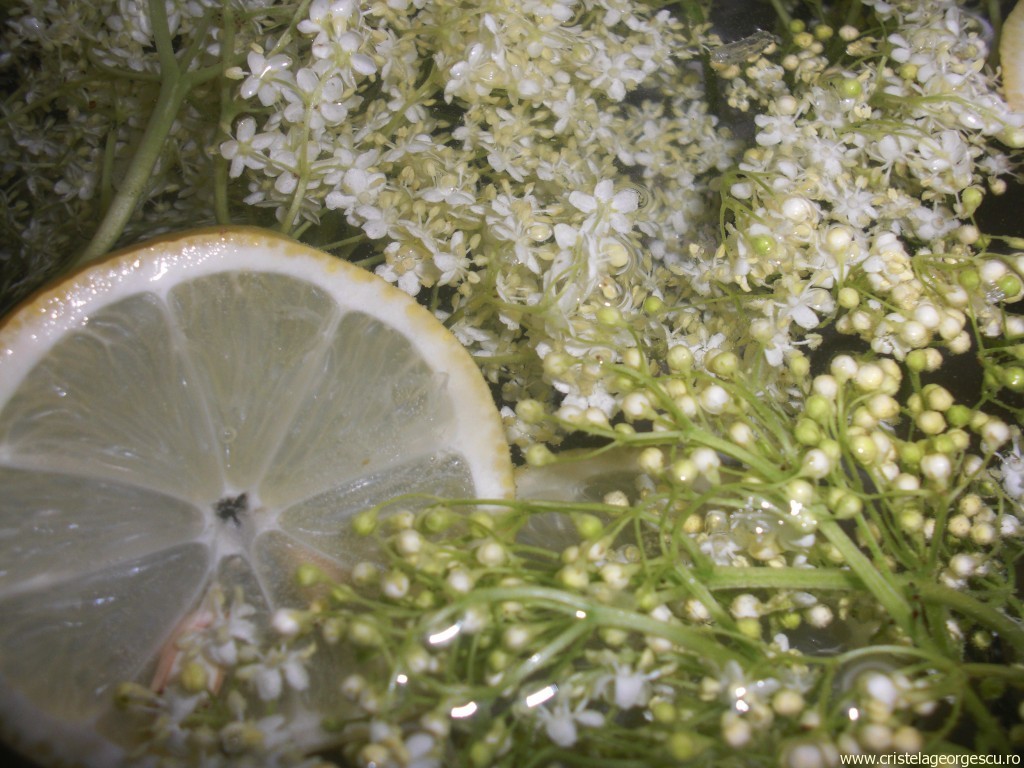 Socata sanatoasa pentru 2P